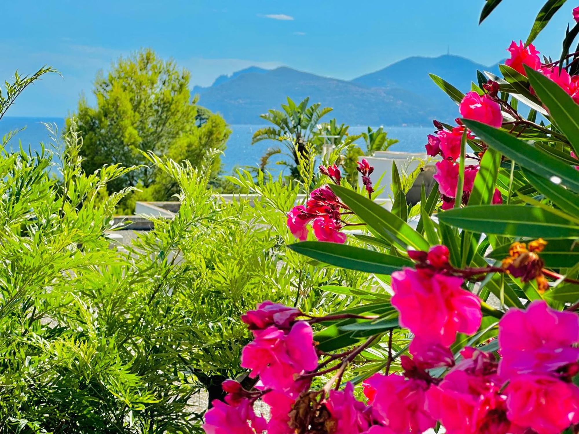 Luxurious Privacy - 130M2 Entire Floor, Pool, Parking, Ac - 5' Croisette - Plage Des Sports *